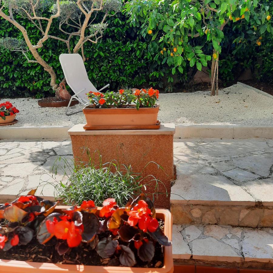 Apartmani Dorijana Vrsar Buitenkant foto
